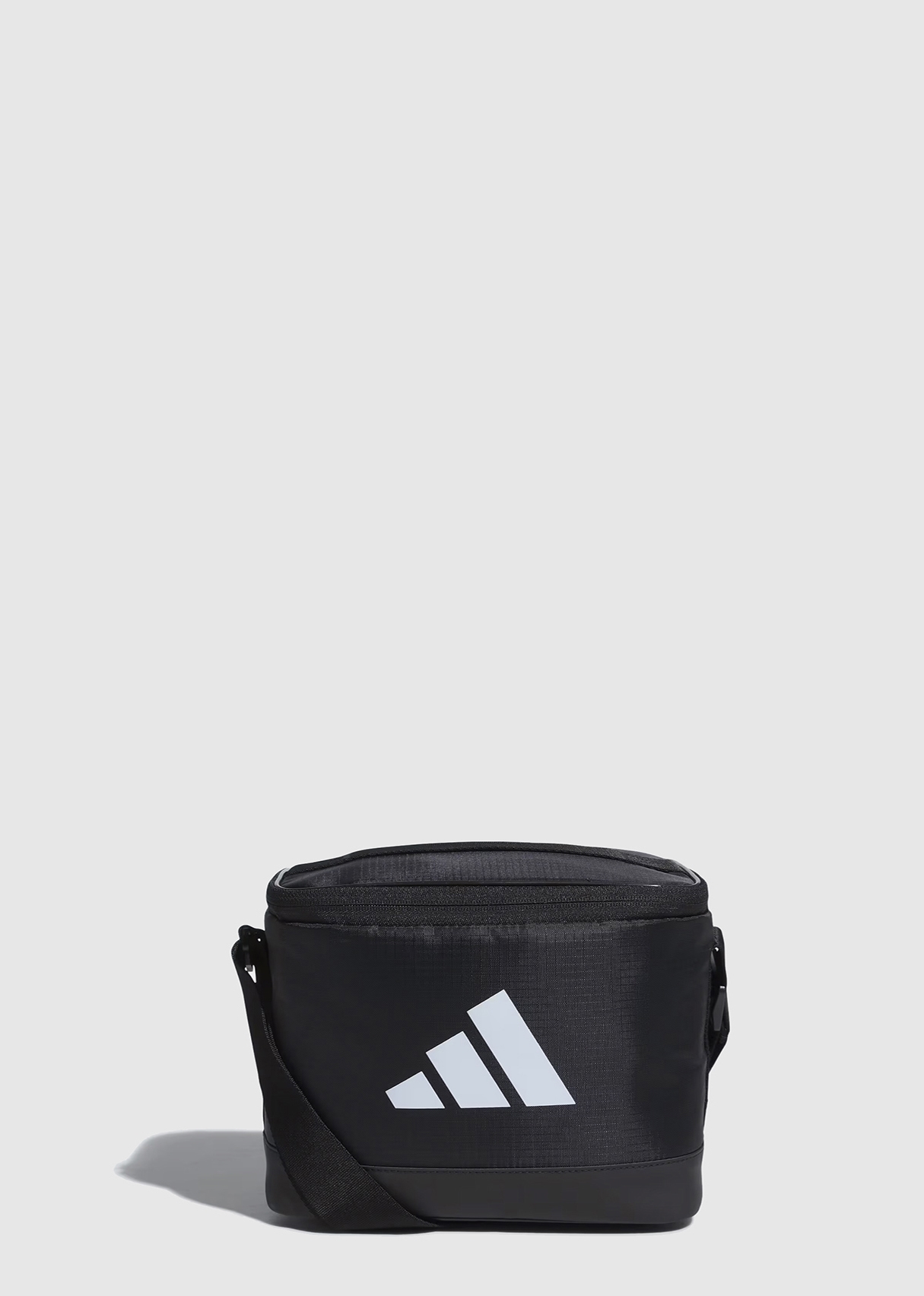 IN2869 COOLER BAG