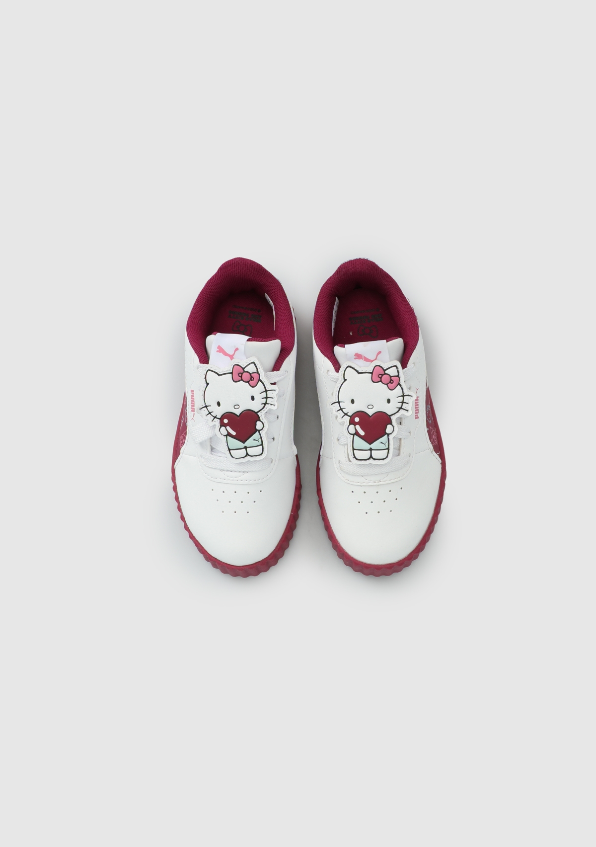 40339501 E6Carina 3.0 HK&FR 2 PS