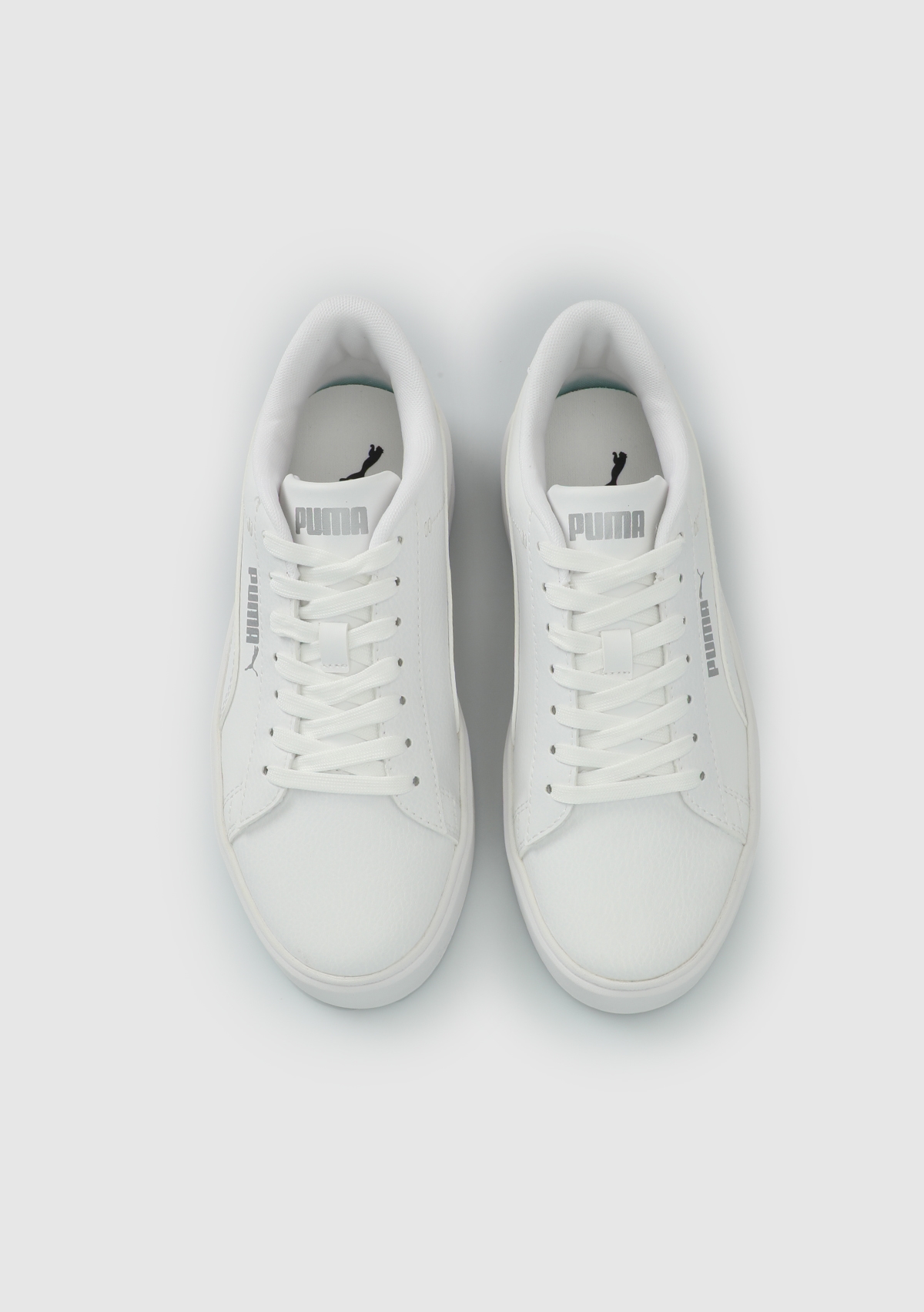 40617501 Smash Platform V3 TDP