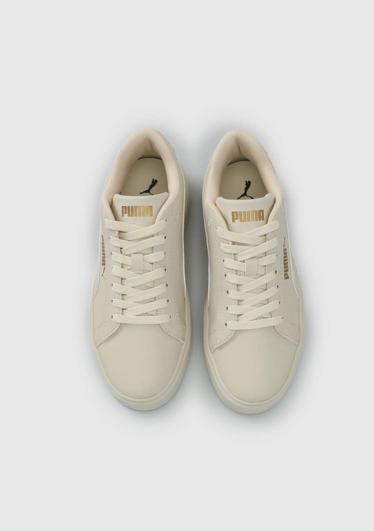 40617550 Smash Platform V3 TDP