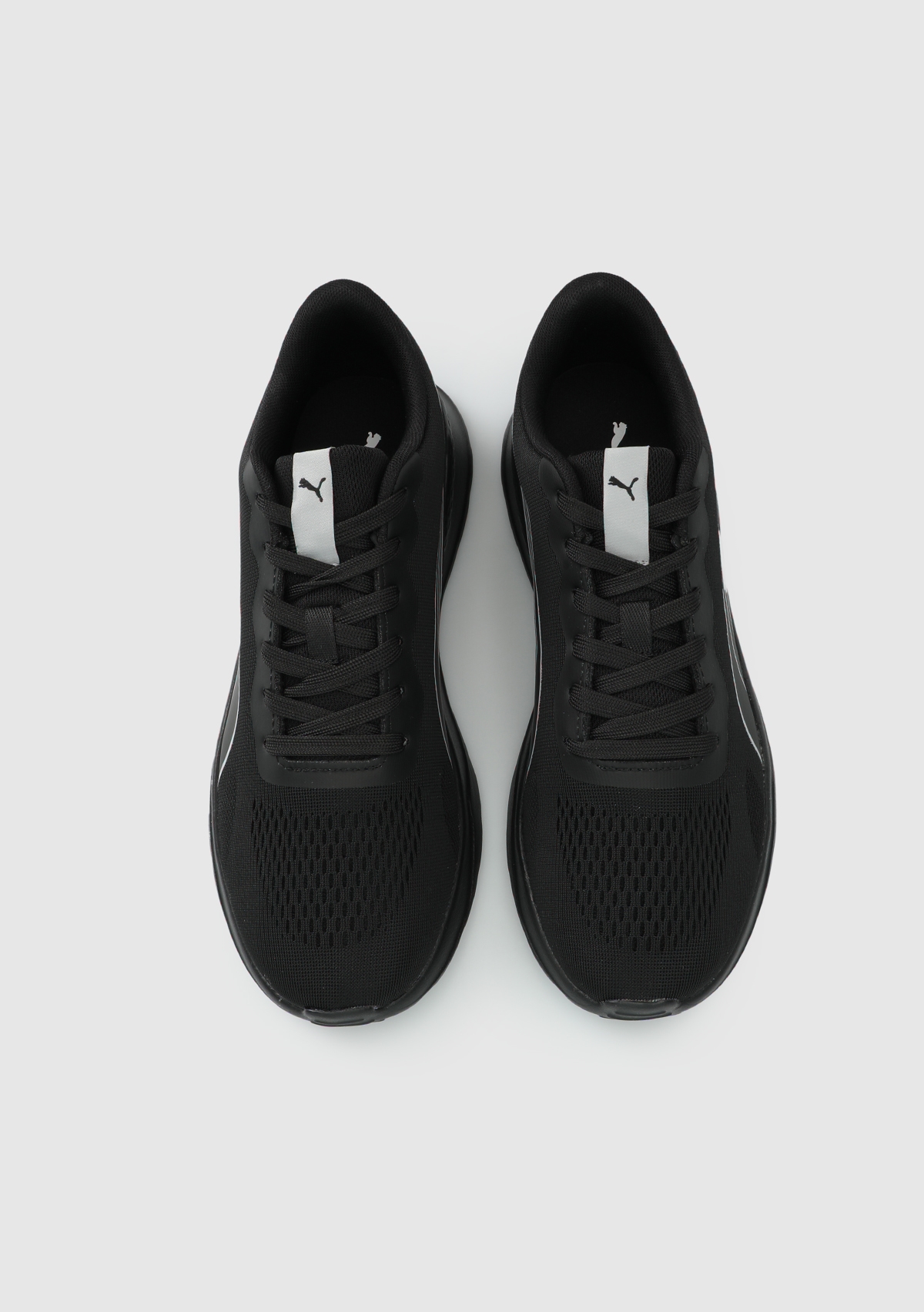 40853301 Lite Runner TDP