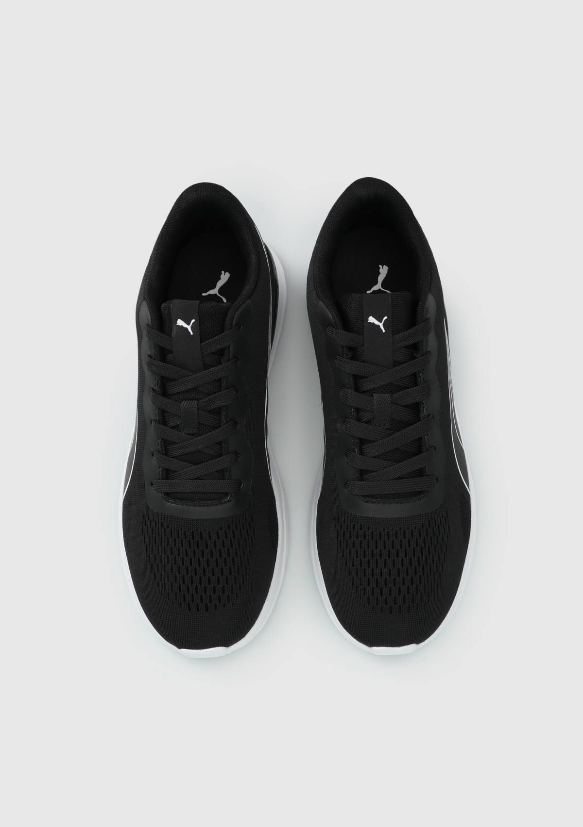 40853302 Lite Runner TDP