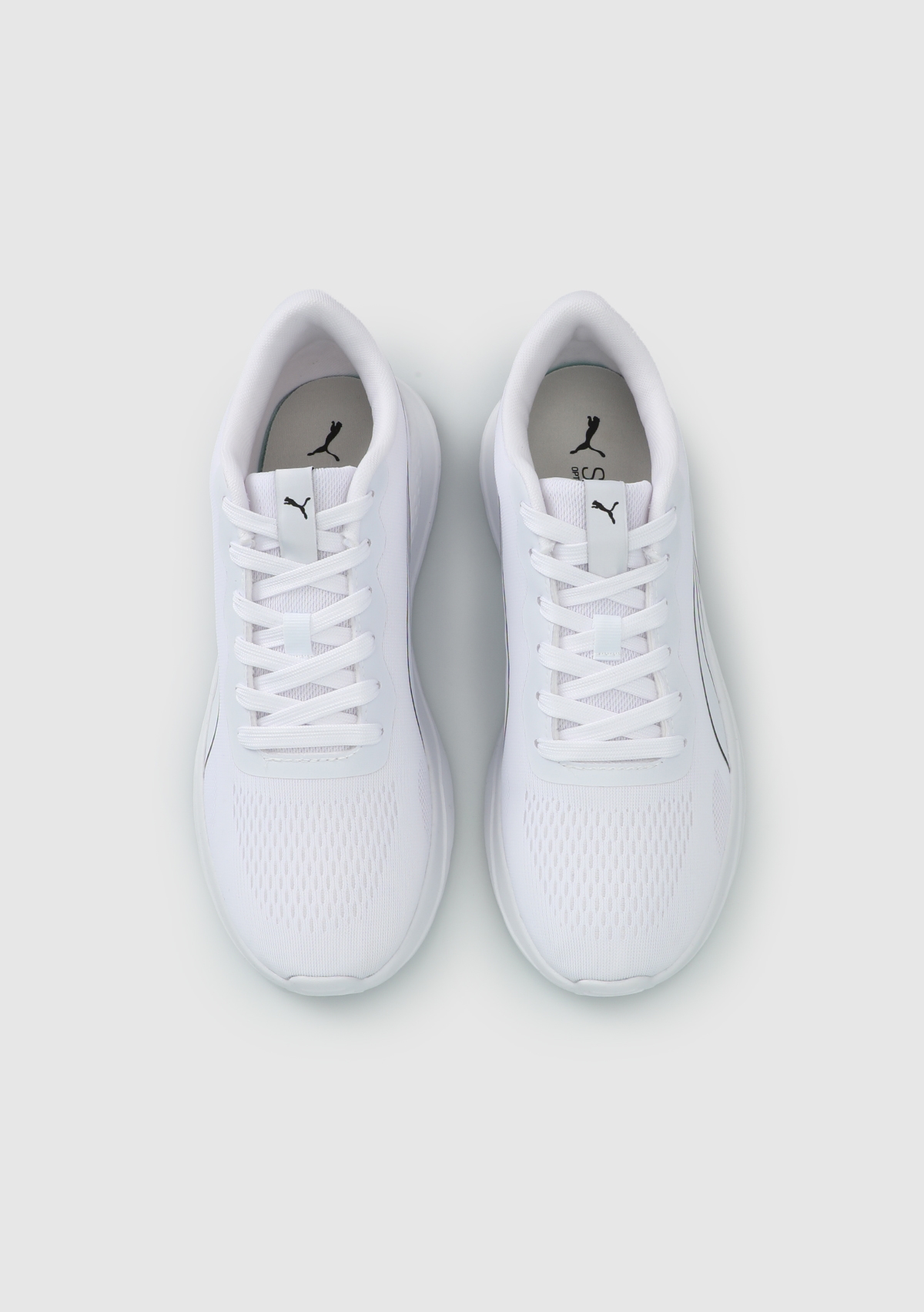 40853303 Lite Runner TDP