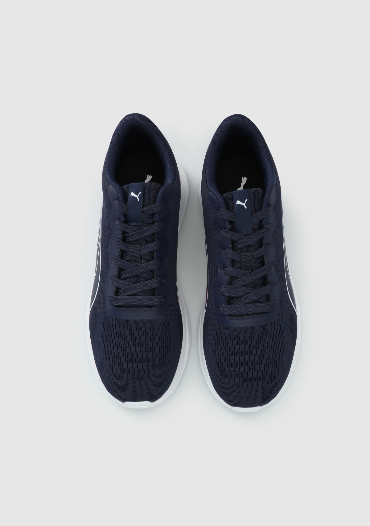 40853304 Lite Runner TDP