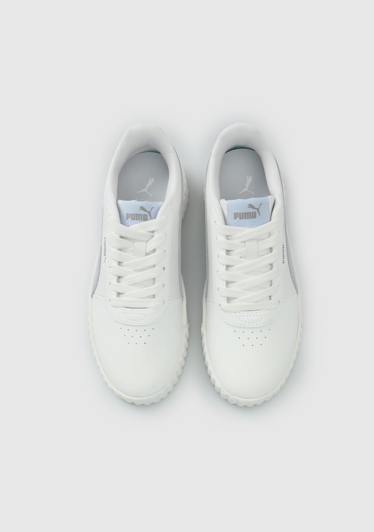 40617618 Carina 3.0 TDP