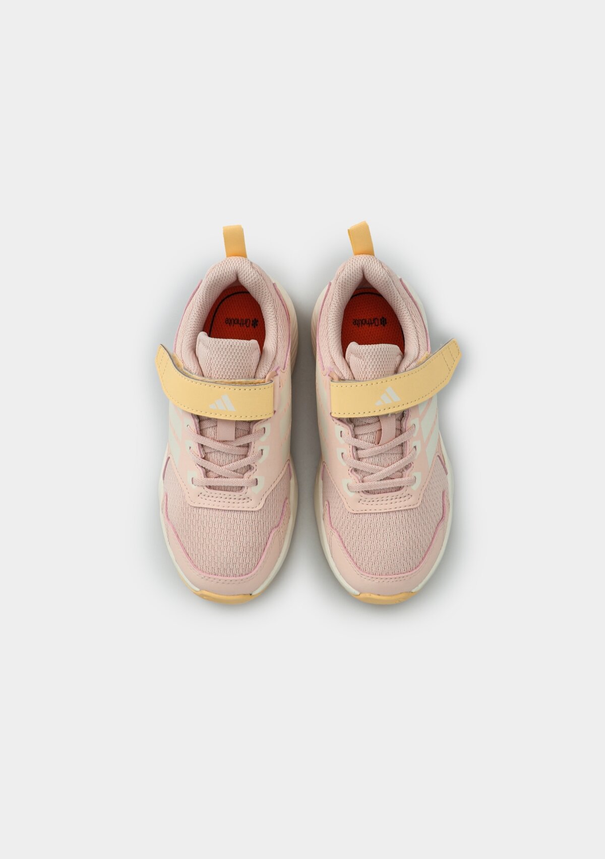 JS2022 TERREX TRACEFINDER