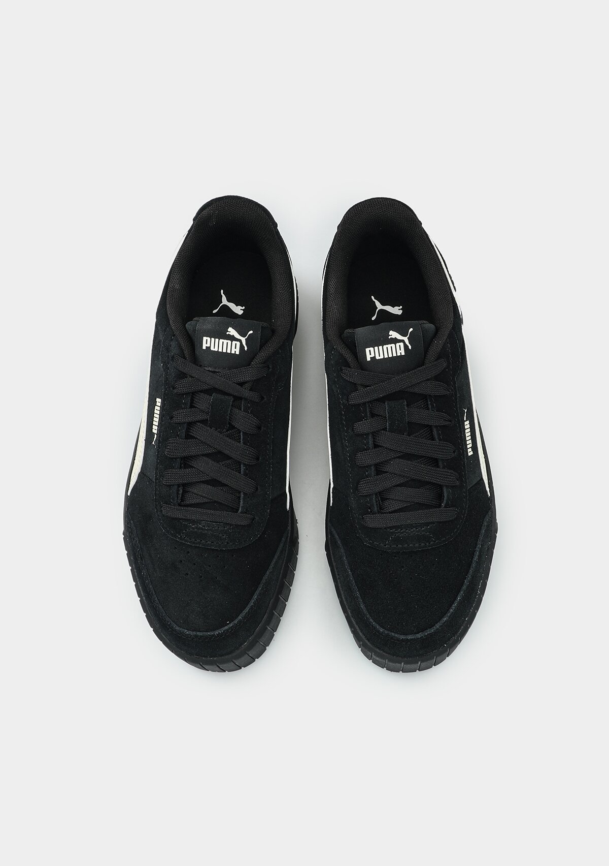 40263805 Carina Mia SD