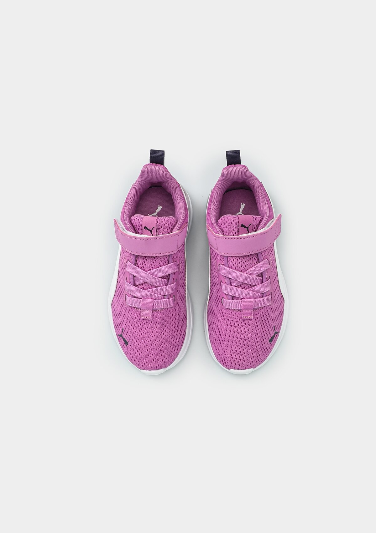 37200949 Anzarun Lite AC+ PS