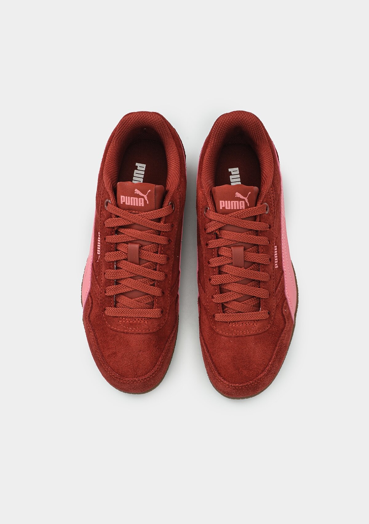 40267311 BELLA DONNA SD