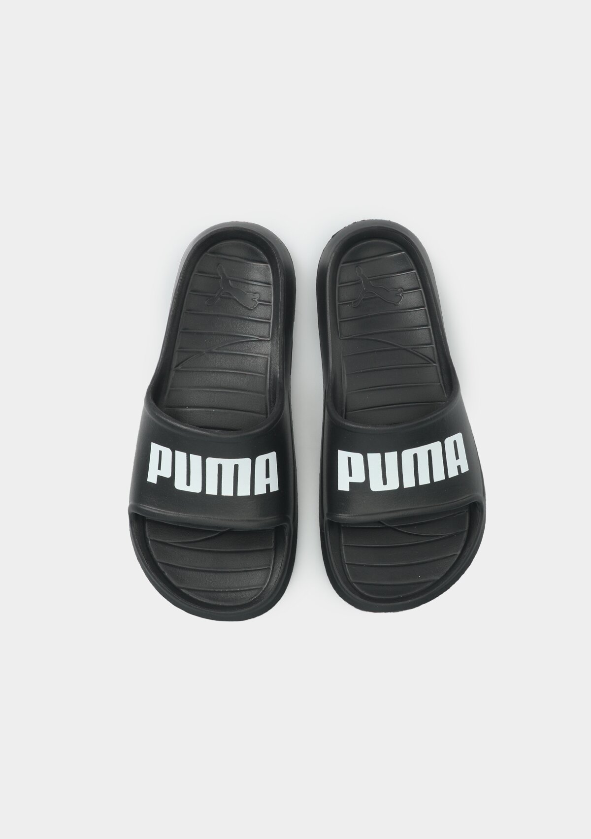 37482301 Divecat v2 Lite