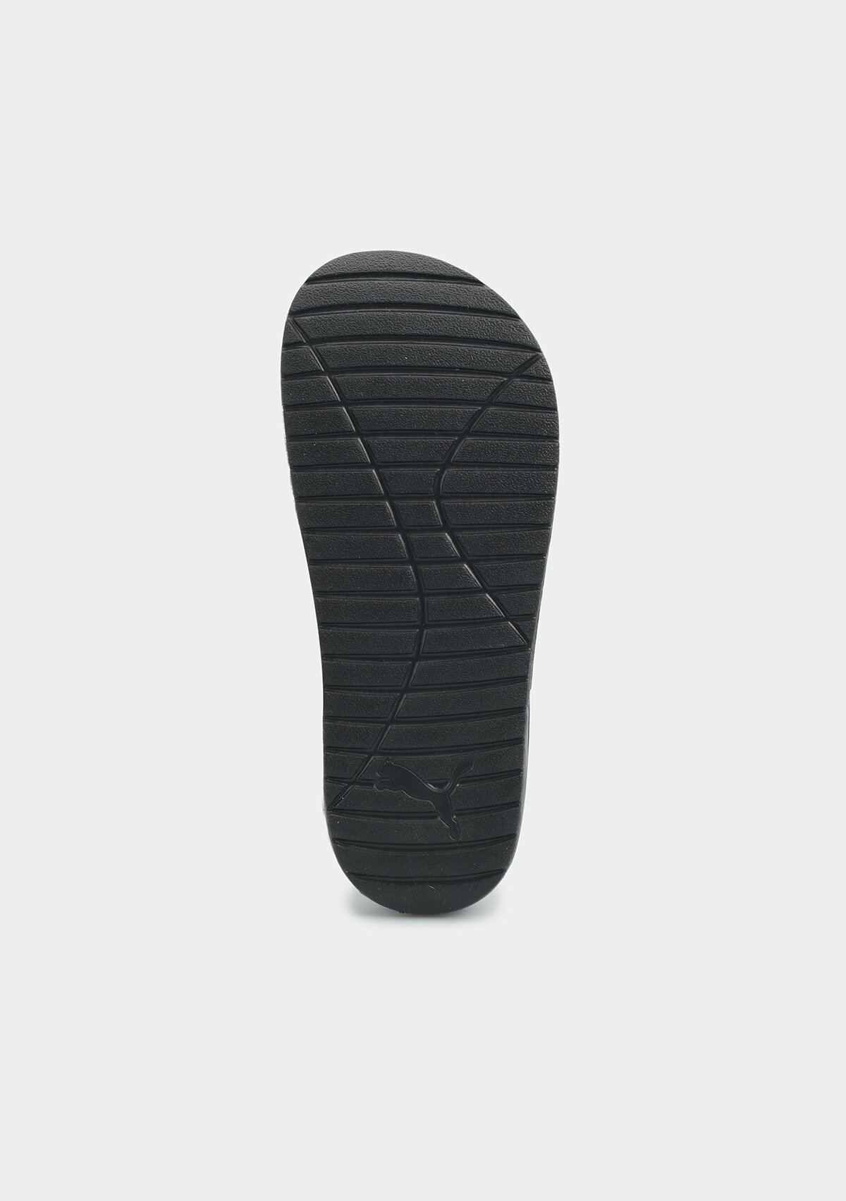 37482301 Divecat v2 Lite