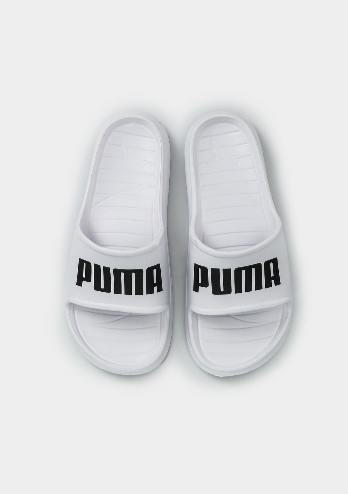 37482304 Divecat v2 Lite