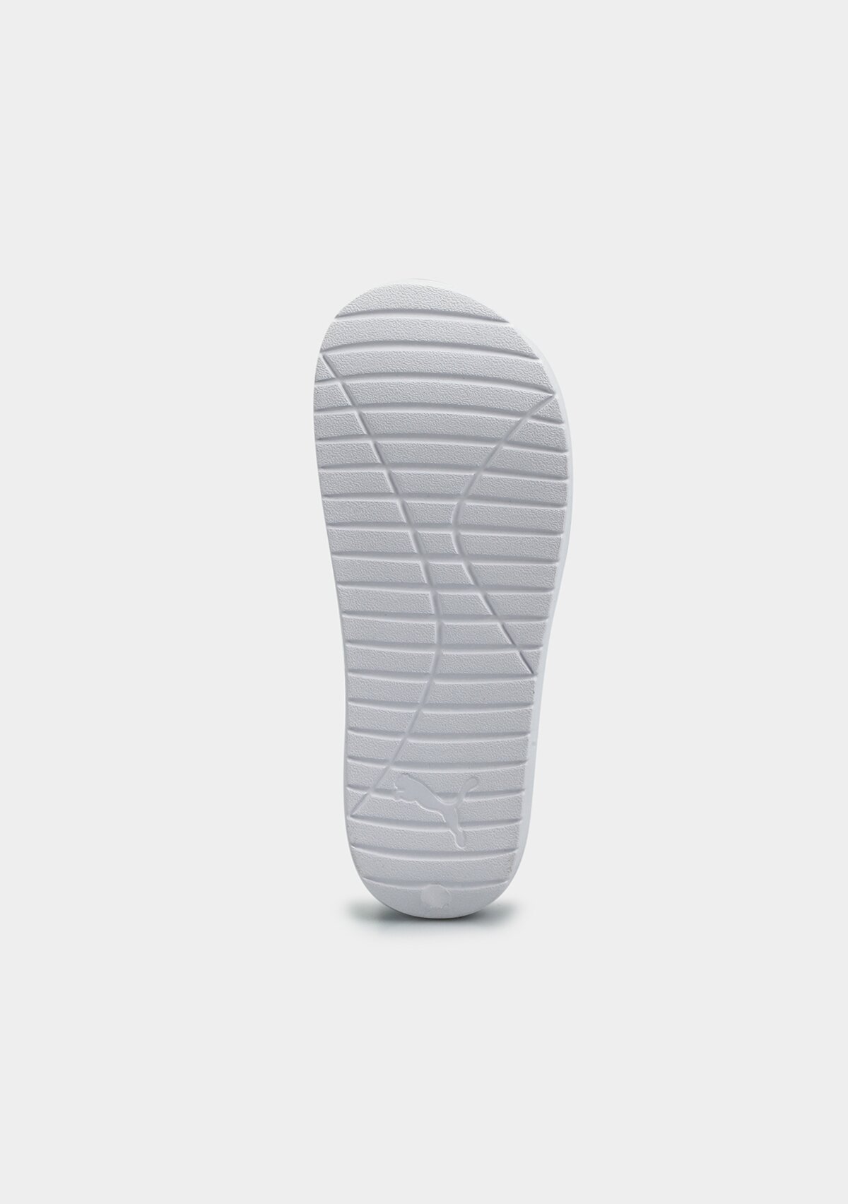 37482304 Divecat v2 Lite