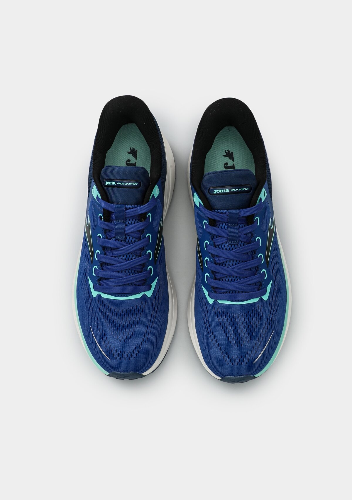 RSPEES2604 SPEED MEN 2604 ROYAL BLUE