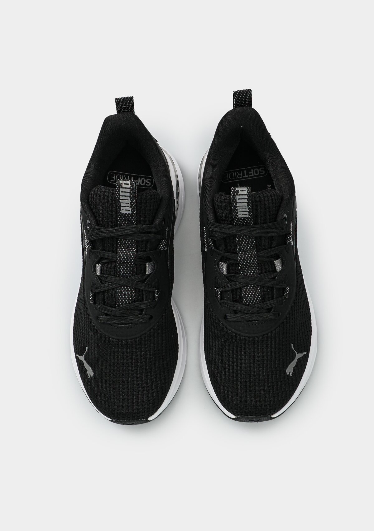 31296701 Softride Charm Animal Wns