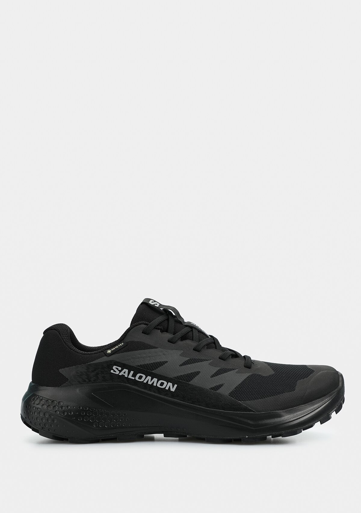 Gore-Tex Siyah Erkek Outdoor Ayakkabısı L47802100Alphaglıde 