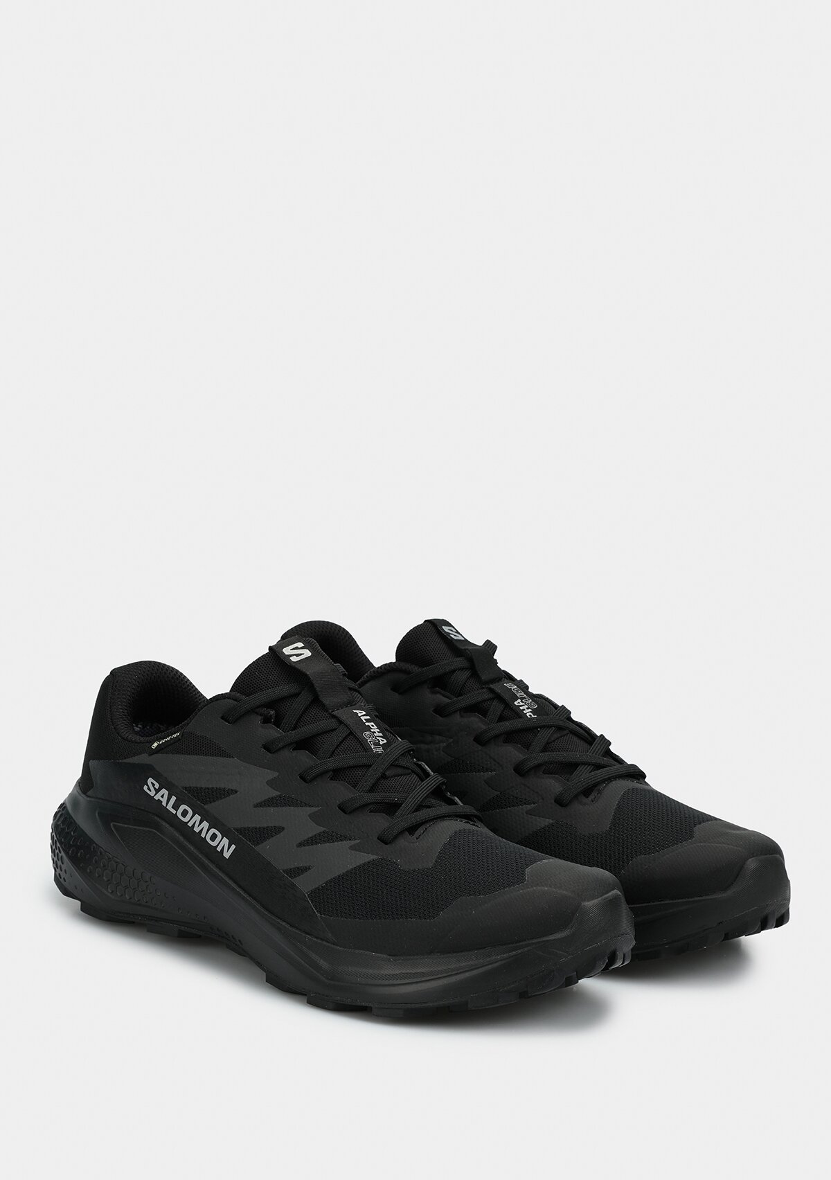 Gore-Tex Siyah Erkek Outdoor Ayakkabısı L47802100Alphaglıde 