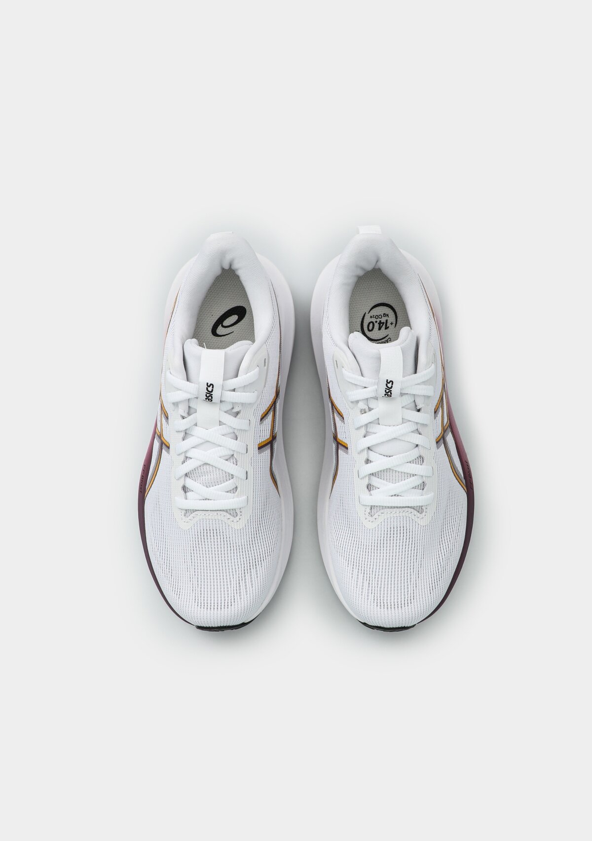 1012B859-101 GT-1000 14