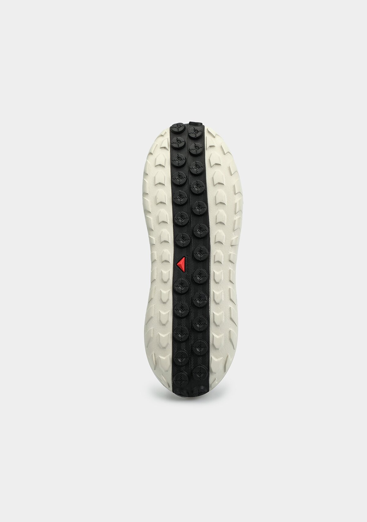 L49107800 SOLAMPHIBIAN