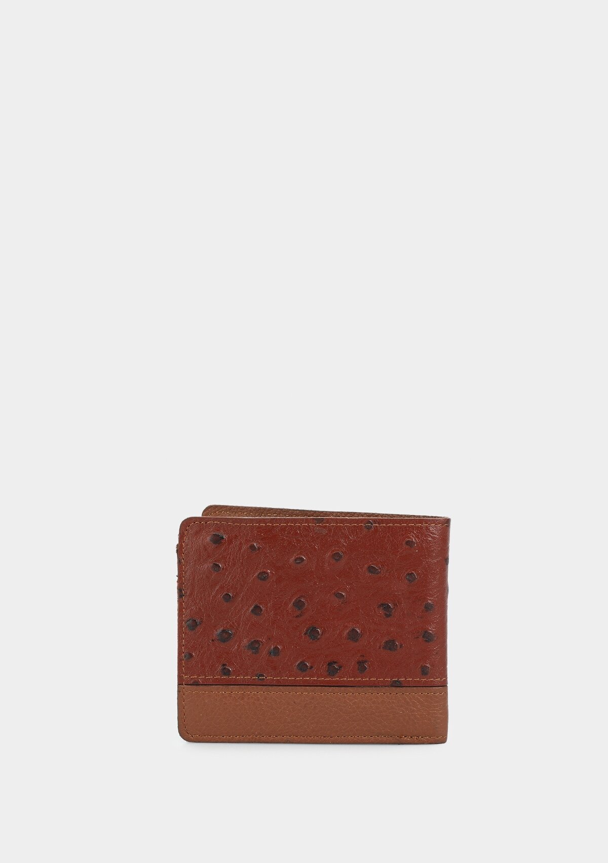 Kahve  Carrera Model17 Kahve