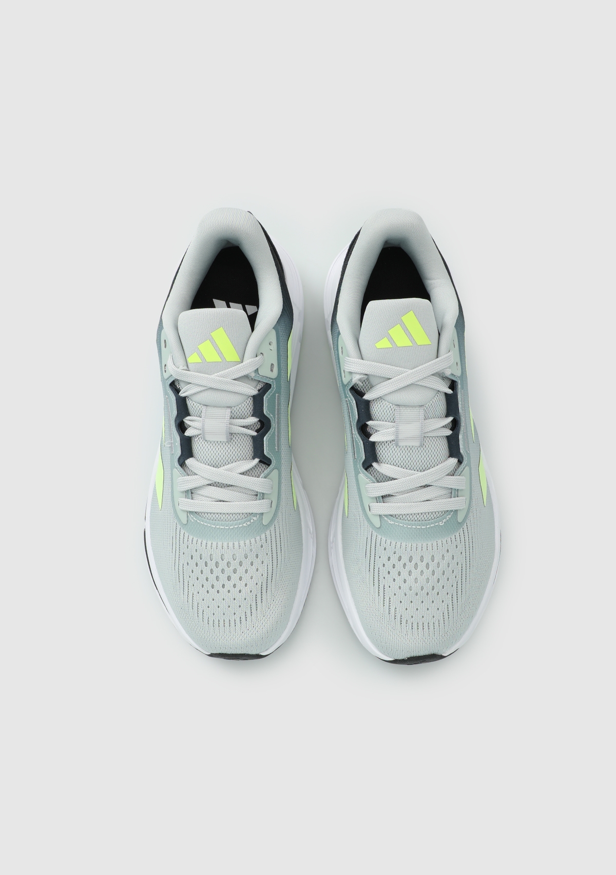 adidas QUESTAR 3 M