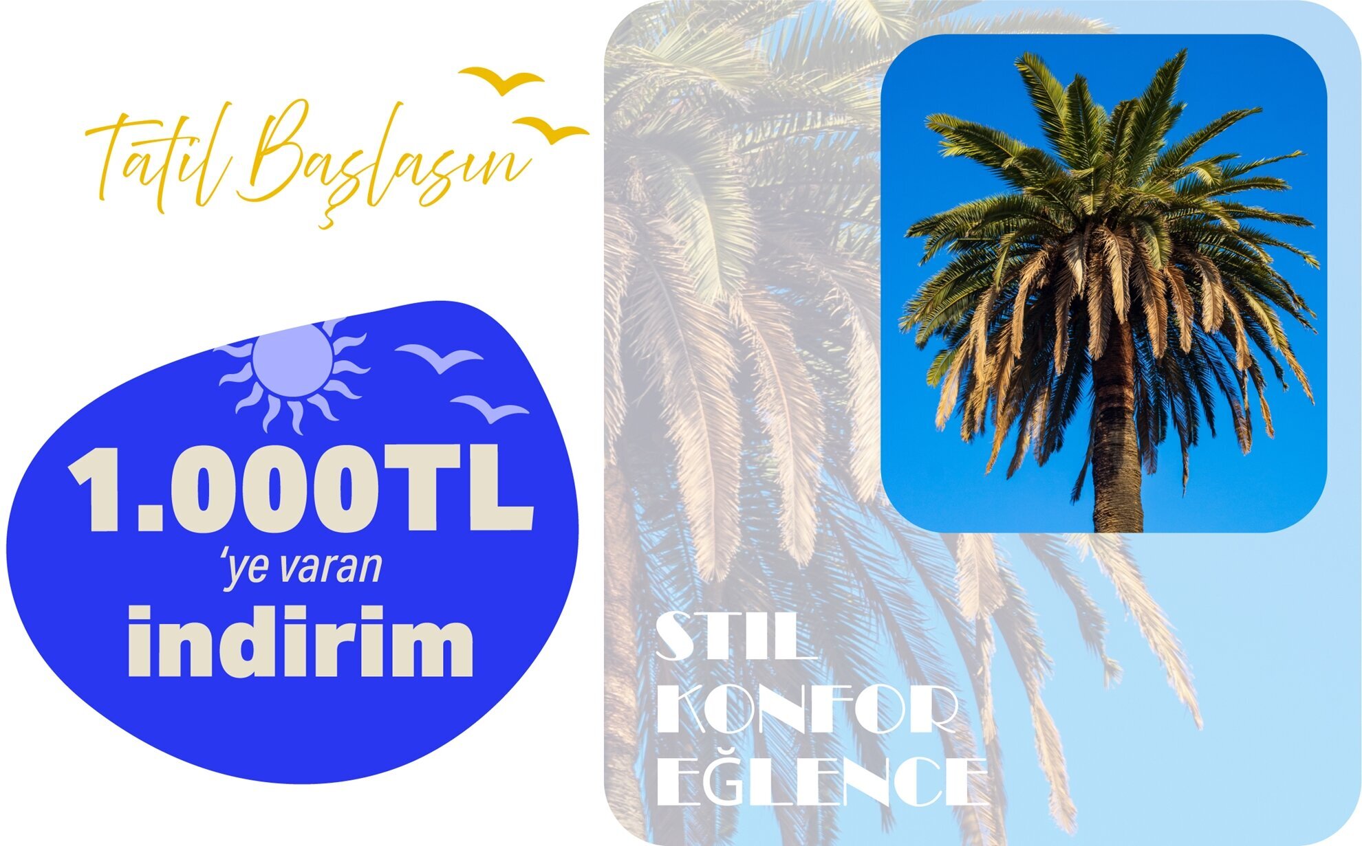 Ayakkabı Dünyası