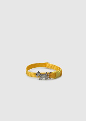 Provoq Sarı  Provoq T1052 Sarı İnceTasma Kedi