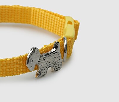 Provoq Sarı  Provoq T1052 Sarı İnceTasma Kedi