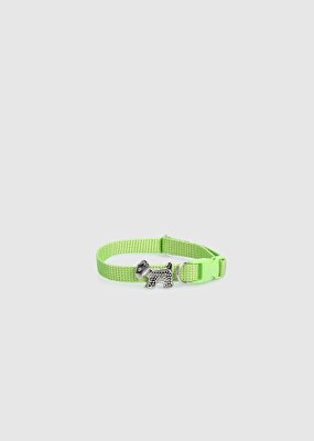 Provoq Yeşil  Provoq T1055 Yeşil İnceTasma Kedi