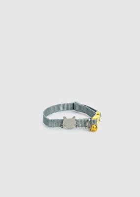Provoq Sarı  Provoq T1068 Sarı İnceTasma Kedi