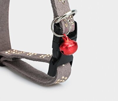 Provoq Gri  Provoq T1056 Gri Taşlı İnceTasma Kedi